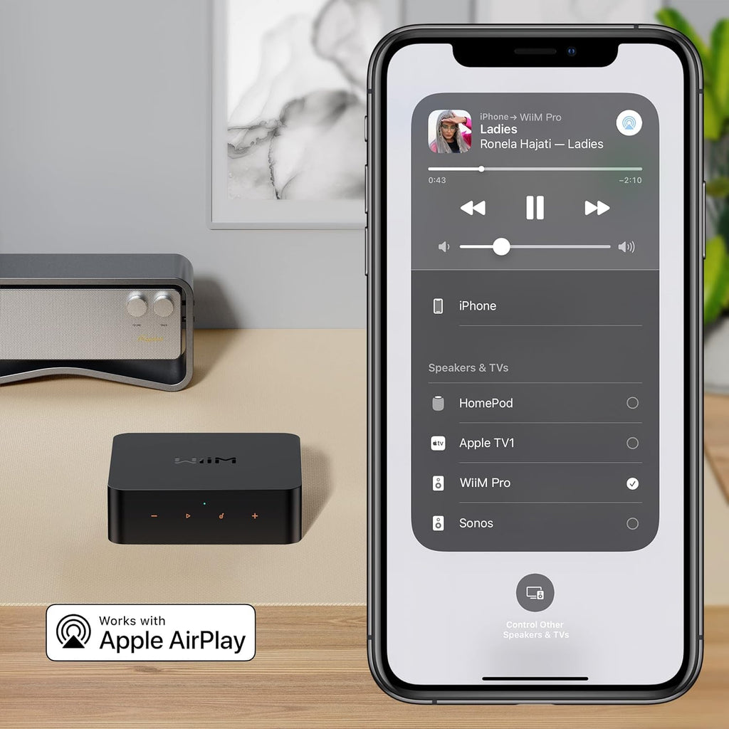 WiiM Pro AirPlay 2 Receiver, Chromecast Audio, Multi-Zone WiFi Streamer, Compatible with Alexa, Siri and Google Assistant, Stream Hi-Res Audio from Spotify, Amazon Music, Tidal and etc.